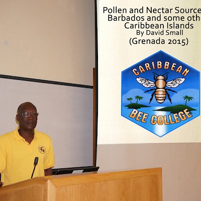 Teaching at Grenada Bee College